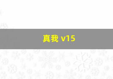 真我 v15